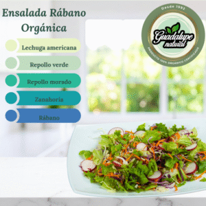 Ensalada Rábano