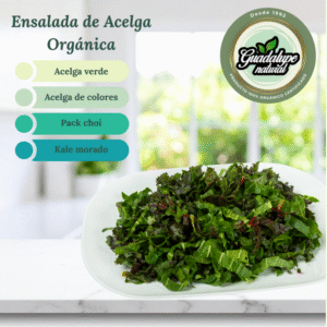 Ensalada de Acelga