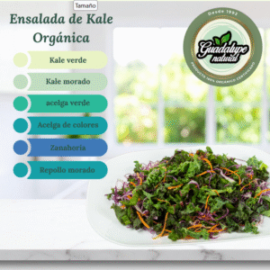 Ensalada de Kale