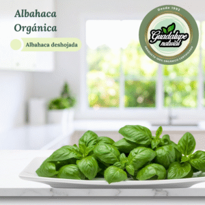 Albahaca Orgánica