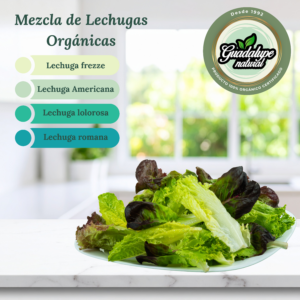 Mezcla de Lechugas Orgánicas