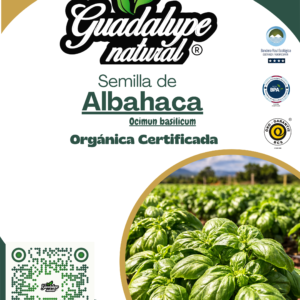Albahaca