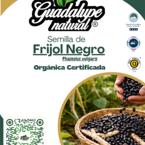 Frijol negro