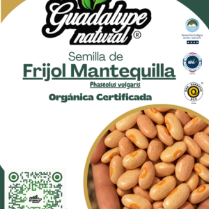Frijol mantequilla