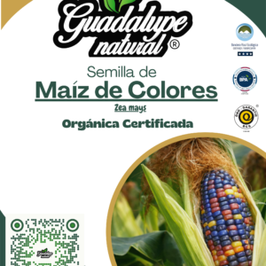 Maíz de colores
