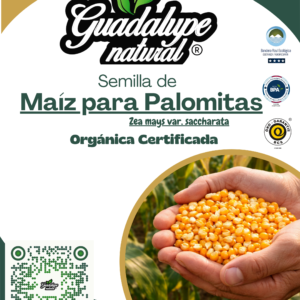Maíz para palomitas