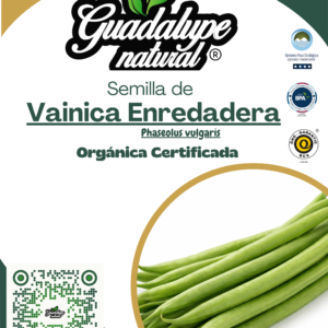 Vainica enredadera