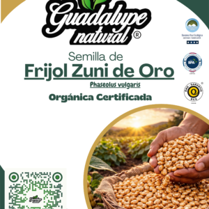 Frijol Zuni de oro